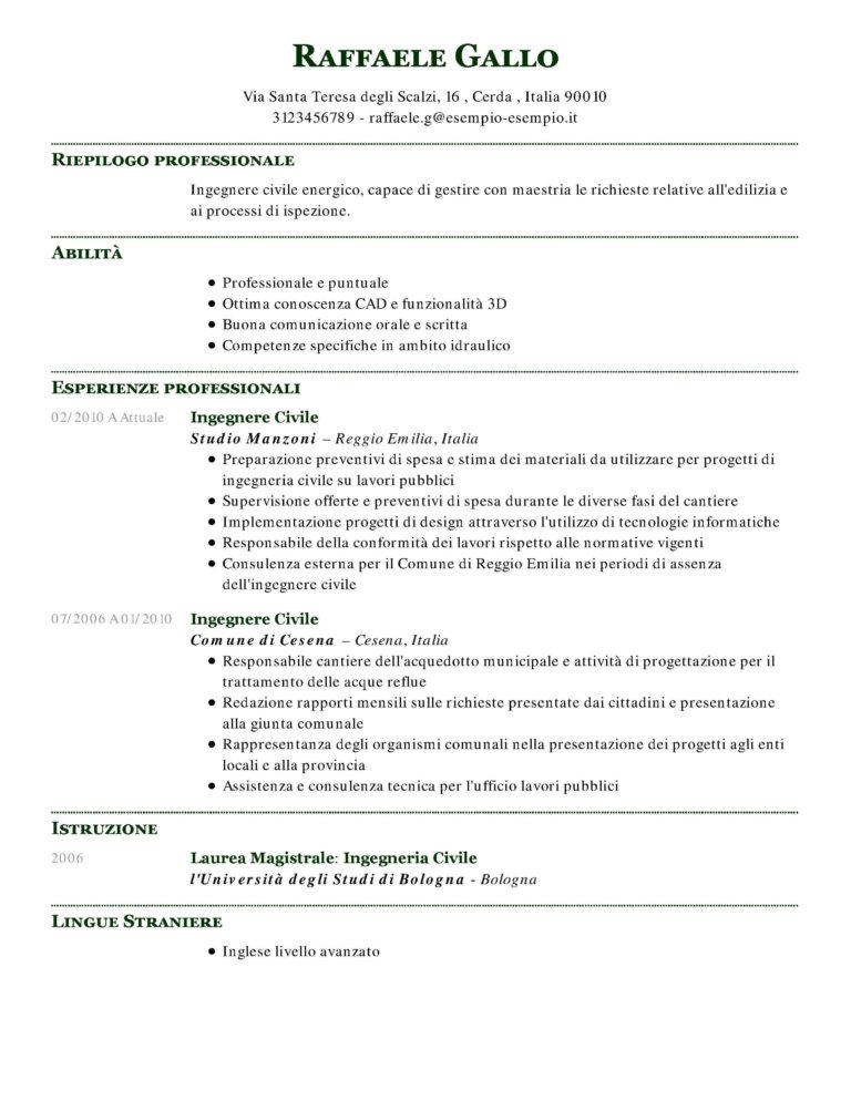 Esempio Di Curriculum Vitae Professionale Ilcvperfetto