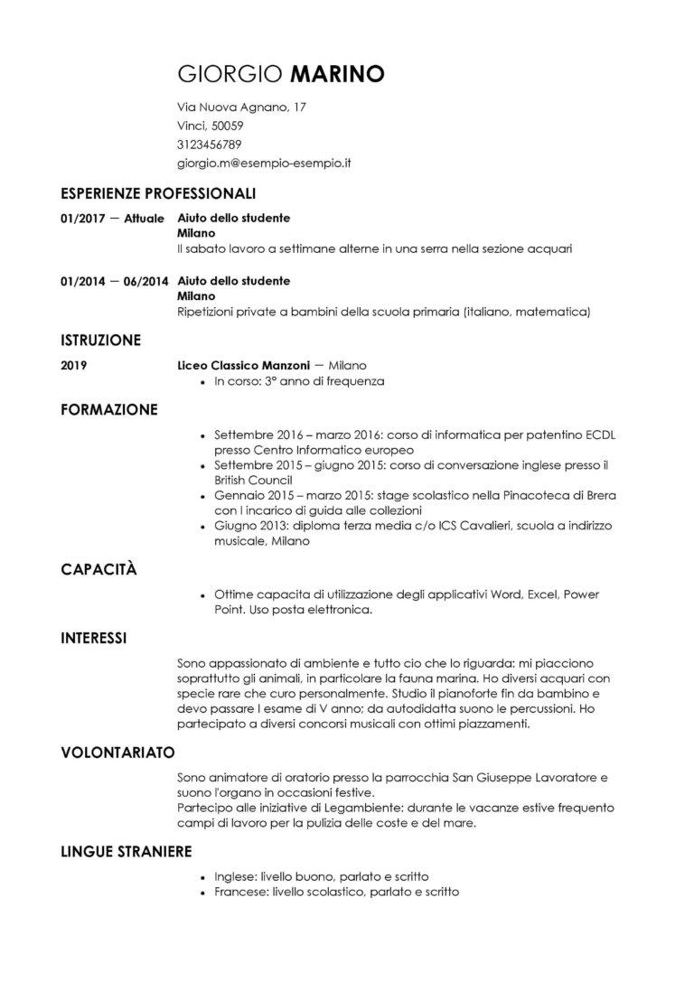 Esempio Di Curriculum Vitae Professionale Ilcvperfetto