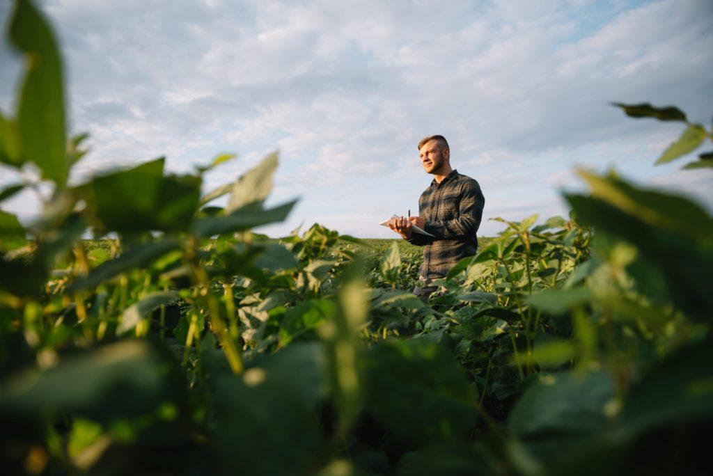 Agriculture_Farming