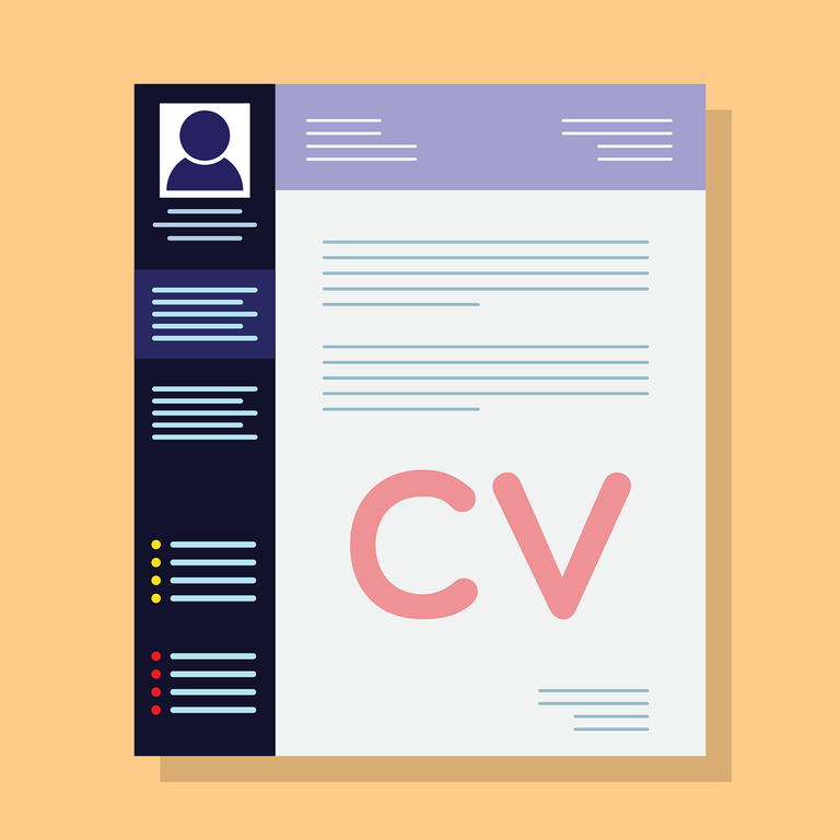layout Curriculum