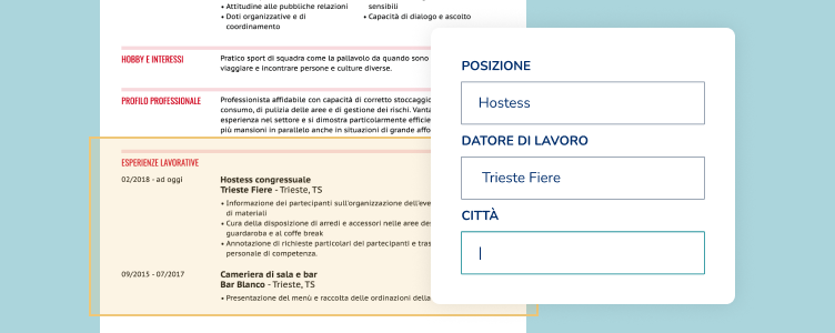Inserisci La Tua Esperienza Lavorativa Nel Generatore Di CV